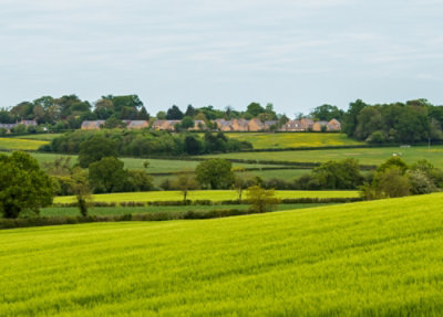A green field with trees and houses in the background