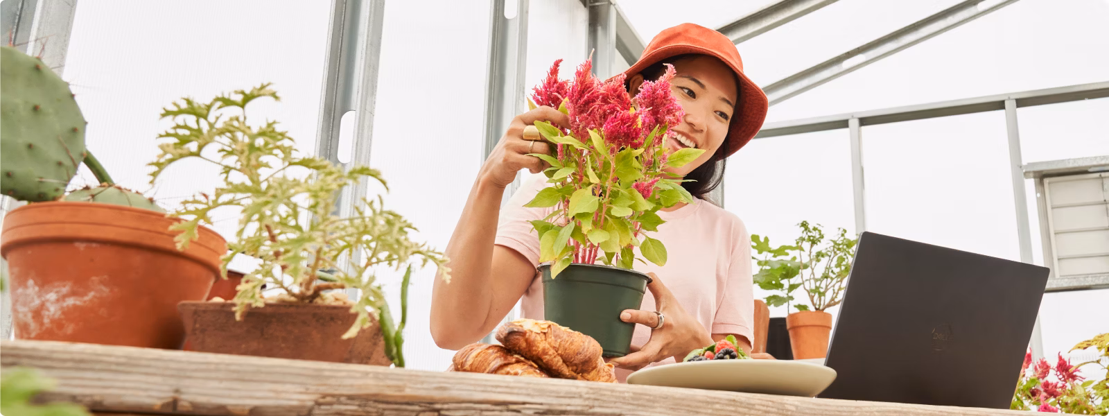 Woman handling a plant looking at her laptop